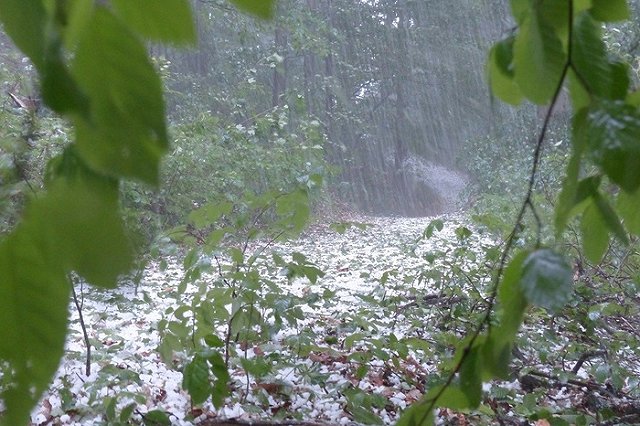 В Свердловской области ожидаются сильный ветер, дожди, грозы и град