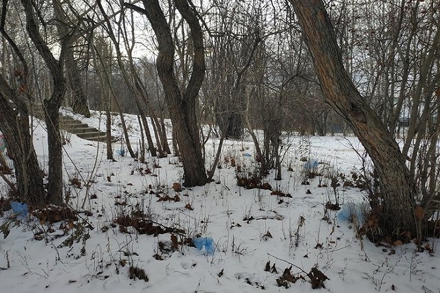 Врач дала советы по адаптации к резкой перемене погоды
