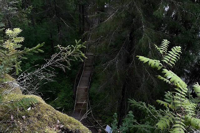 В местности, где пропала семья Усольцевых, люди массово распродают дома
