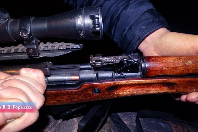 Свердловчанину за убийство косули грозит тюрьма