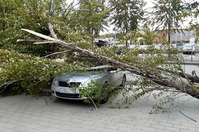 «Оторвало фрагмент»: в Екатеринбурге сильный ветер снёс крышу дома