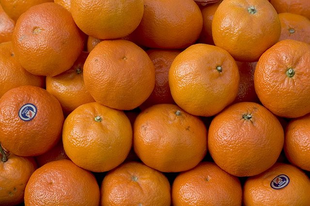 Ткачев: Запрет на поставки овощей и фруктов из Турции не приведет к росту цен