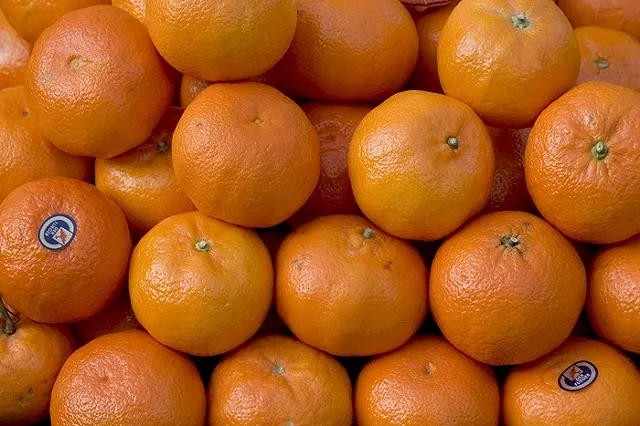 Ткачев: Запрет на поставки овощей и фруктов из Турции не приведет к росту цен