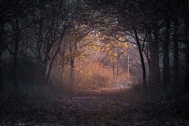 Мужчина избил парня в екатеринбургском парке, а потом изнасиловал там девушку