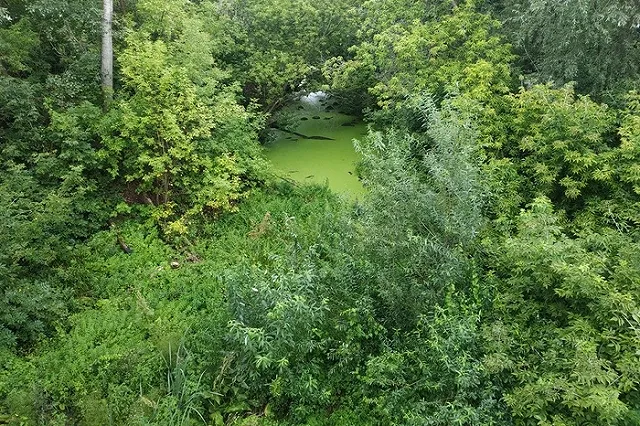 «Ушла отмечать День города и пропала». В Красноуфимске 5-й день ведутся поиски женщины