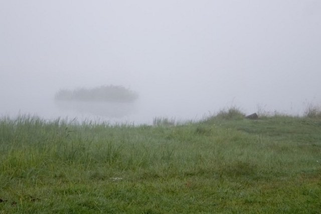 Туман парализовал работу Кольцово