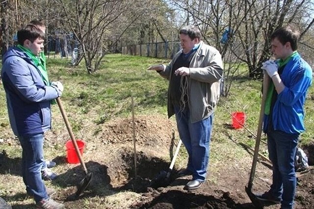 Первый промышленный плодовый сад высаживают на Урале