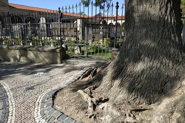 Кладбищенский вор, несколько лет крушивший могилы, пойман в Краснотурьинске