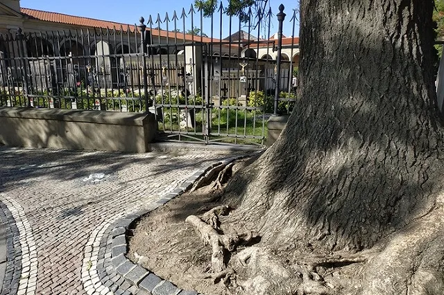 Кладбищенский вор, несколько лет крушивший могилы, пойман в Краснотурьинске