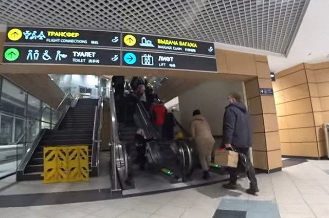 У прилетевших пассажиров на выходе из Домодедово отняли сумку с $4 млн