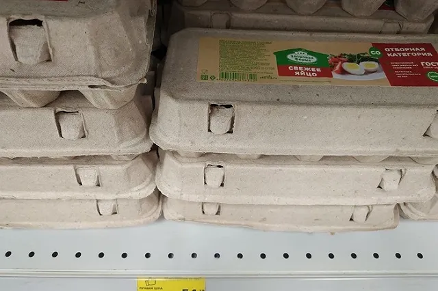 Россия будет импортировать куриные яйца, чтобы сбить рост цен