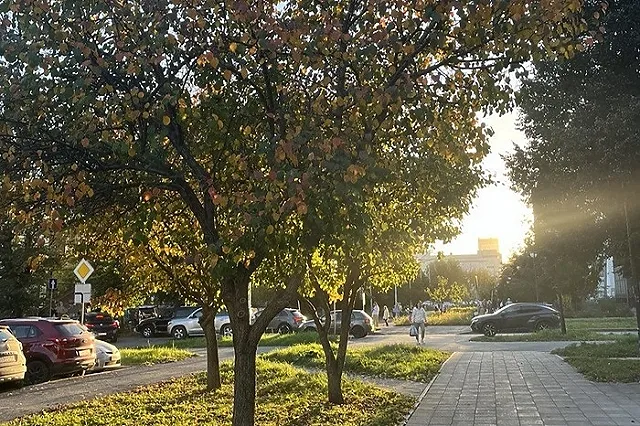 На Свердловскую область обрушатся заморозки