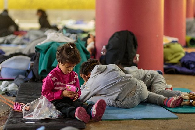 Вице-президент ЕЦБ назвал мигрантов средством от самоубийства Европы