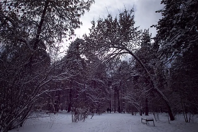 В Екатеринбурге все-таки построят здания генконсульства КНР в Зеленой роще