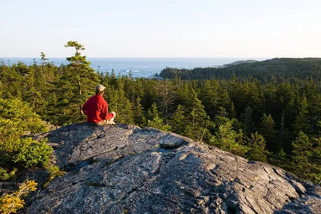 Кто купил Америку. Десять человек, которым на самом деле принадлежат земли США