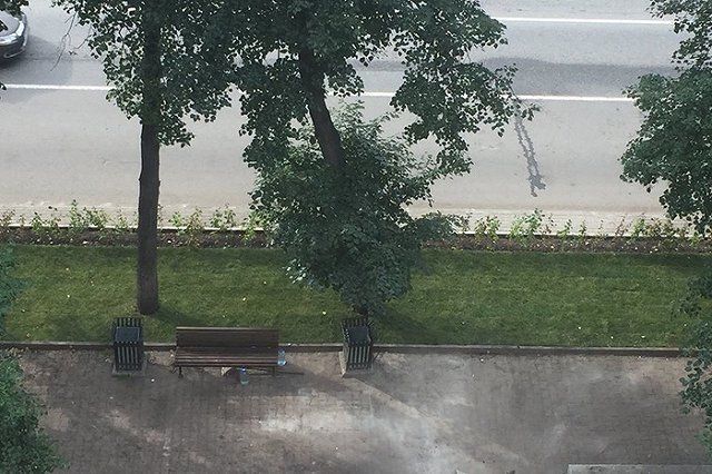 Николай Коляда оценил новый газон возле театра