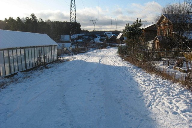 Галина Шепоренко: холода ушли, садовые работы можно начинать 3−4 мая