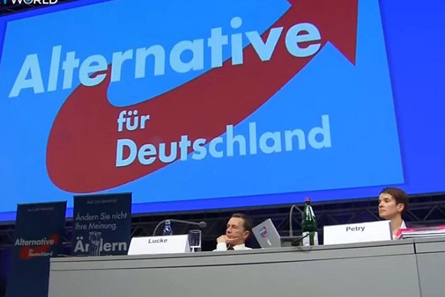 СМИ: депутаты «Альтернативы для Германии» отказались от поездки в Донбасс