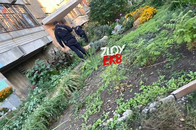 В Пионерском у девятиэтажки нашли тело мужчины