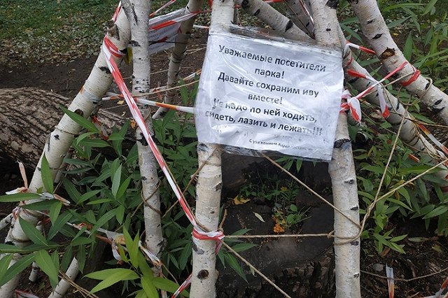 Вход в дендрарии Екатеринбурга для проведения фотосессий стал платным