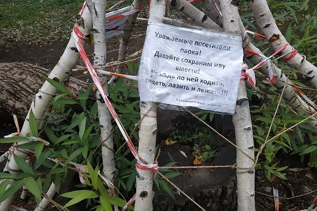 Вход в дендрарии Екатеринбурга для проведения фотосессий стал платным