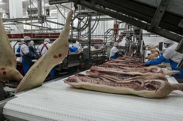 Россия переживает бум в экспорте свинины