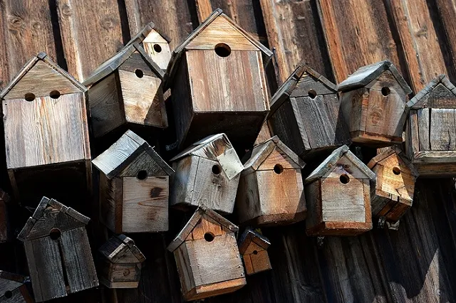 Приставы закрыли пансионат для престарелых на Широкой речке