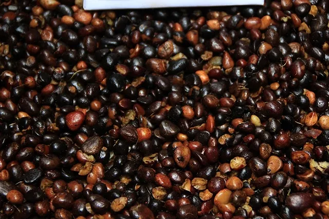 Для молочных продуктов с пальмовым маслом введут специальную маркировку