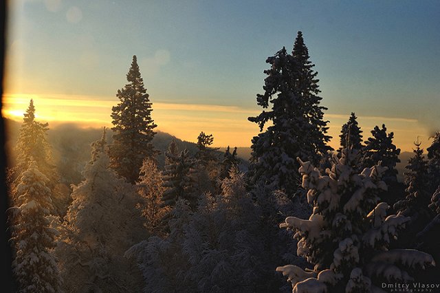 Туристы срубили на шалаш полтора десятка деревьев в челябинском нацпарке