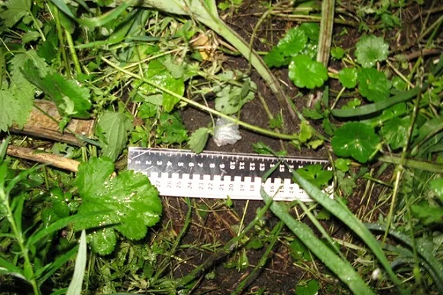 На Урале силовики отмечают кардинальные изменения в сфере сбыта наркотиков