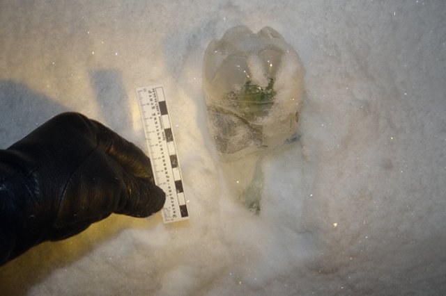 Пожилую женщину облили кислотой в Камышлове