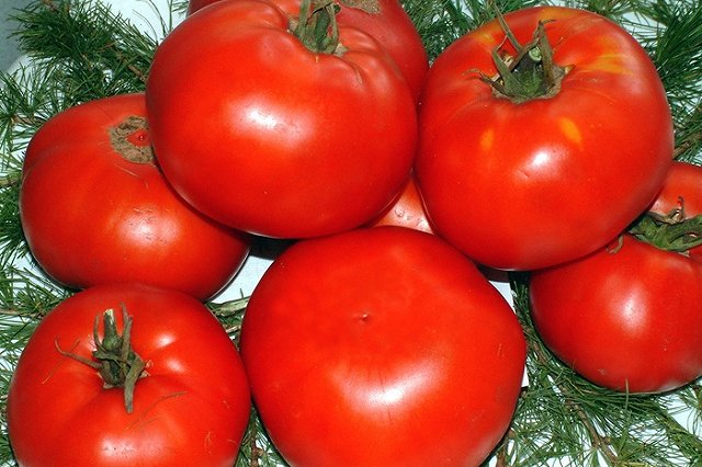 И снова ярмарка! Производители со всего Урала едут в Екатеринбург