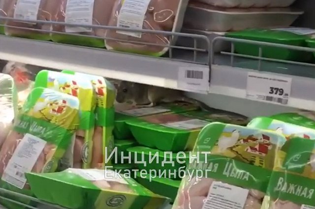 На Юго-Западе в «Магните» заметили крысу на прилавке с курицей