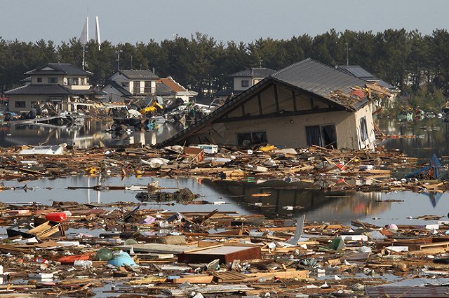 Фото цветов-мутантов из Фукусимы заинтересовало пользователей Twitter