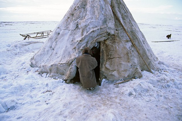 Оленевод и его маленький сын погибли в загоревшемся чуме в ЯНАО