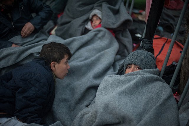 В ФМС рассказали о влиянии европейского кризиса с беженцами на Россию