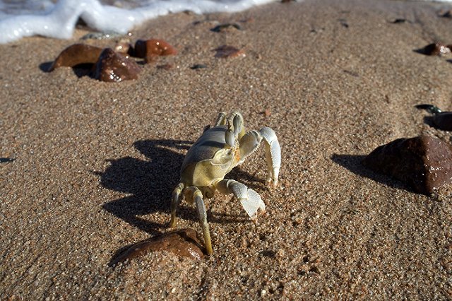 Семь авиакомпаний запланировали полеты в Египет из Кольцово