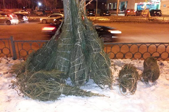 Челябинские предприниматели, устроившие елочные свалки, будут оштрафованы