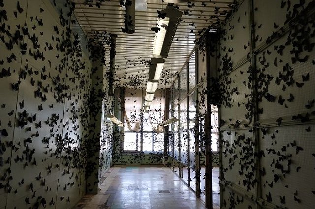 Биеннале в Екатеринбурге посетили уже более 100 тысяч человек