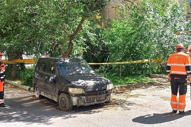 «Прорыв в нескольких местах»: на Уралмаше дерево рухнуло на газовую трубу