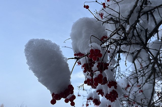 Морозы до -30 градусов вновь возвращаются в Свердловскую область