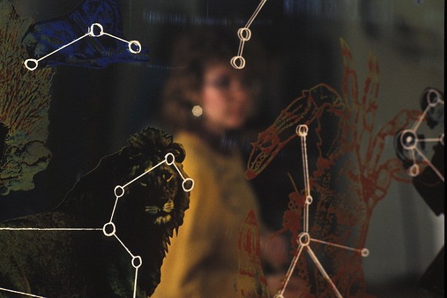 Какие профессии выбирают разные знаки зодиака