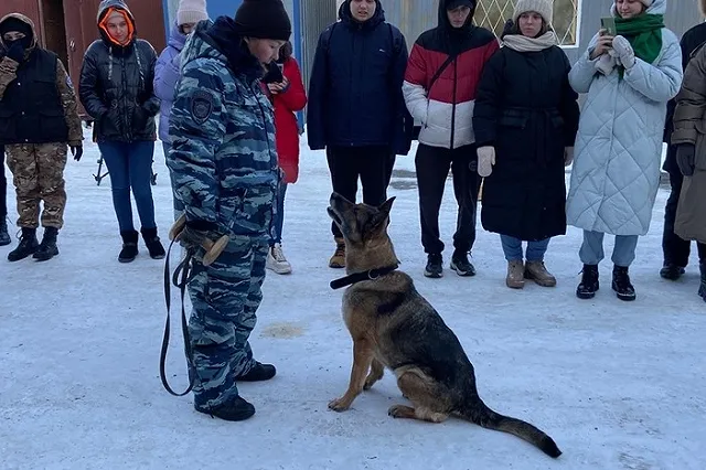 Овчарки из свердловской полиции учили студентов искать взрывчатку