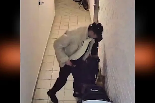 Живодер из Екатеринбурга взялся за старое