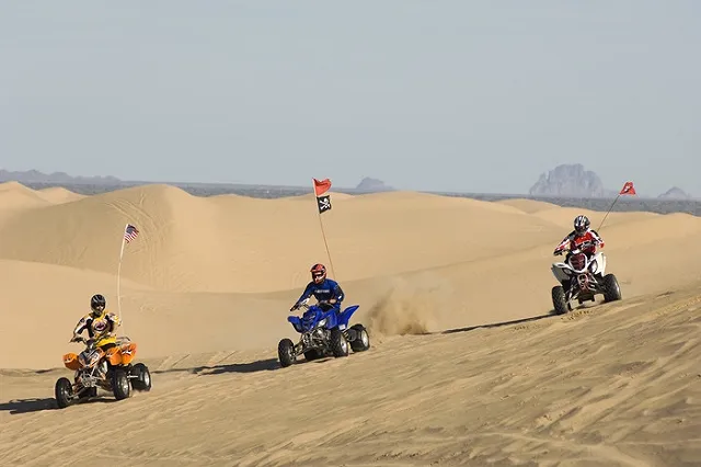 Гонщик Сергей Карякин распустил команду