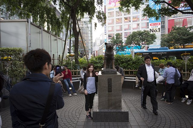 Ждал хозяина 2 года: в Челябинске откроют памятник местному Хатико