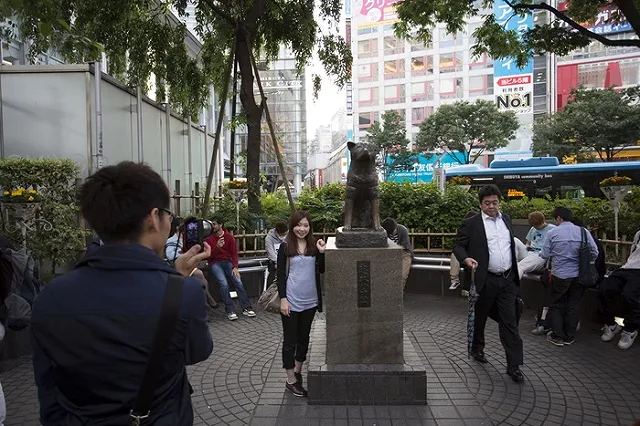 Ждал хозяина 2 года: в Челябинске откроют памятник местному Хатико