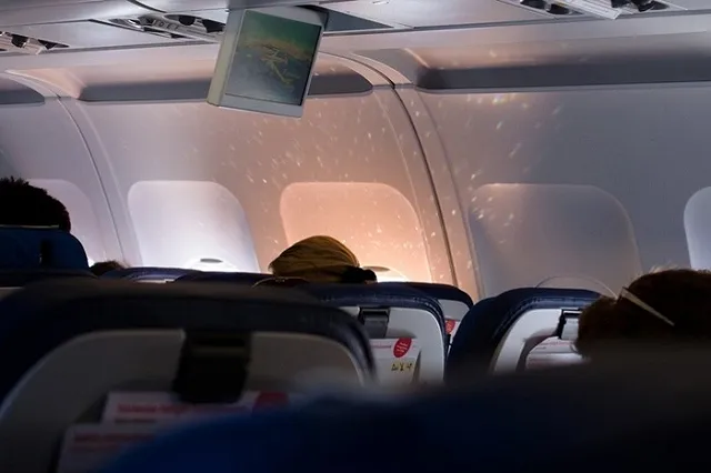 Рецидивист из Нижнего Тагила устроил пьяный дебош в самолёте