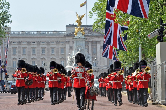 Британского гвардейца, развлекавшего туристов, ждет расследование