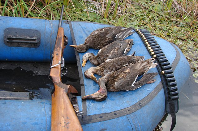 Охотничьи туры для интуристов появились в Свердловской области